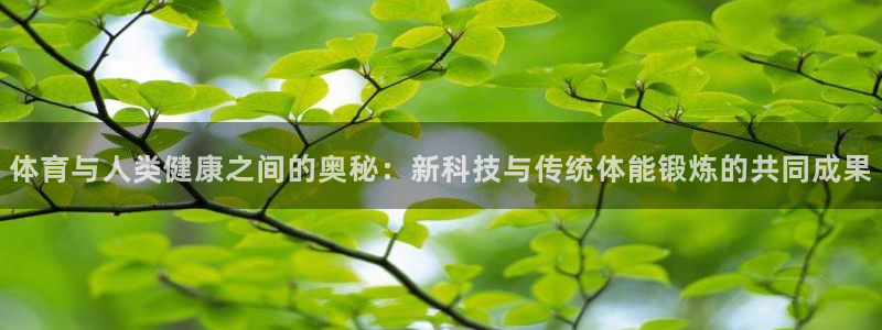 ug环球官网