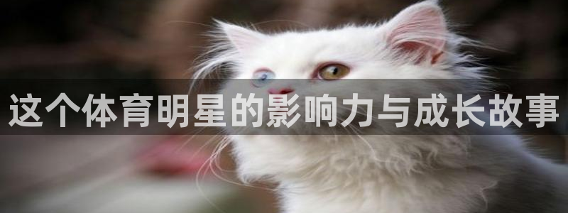 ug环球官网注册