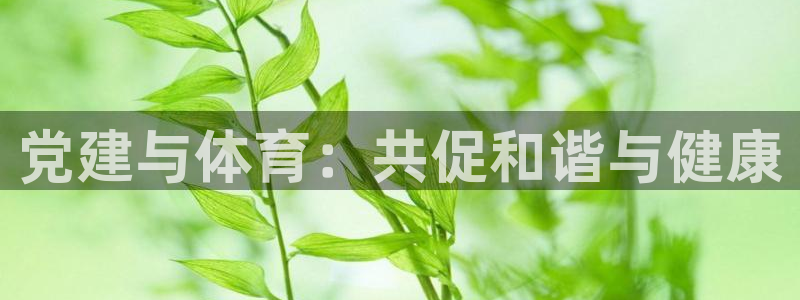 菲律宾ug环球官网：党建与体育：共促和谐与健康