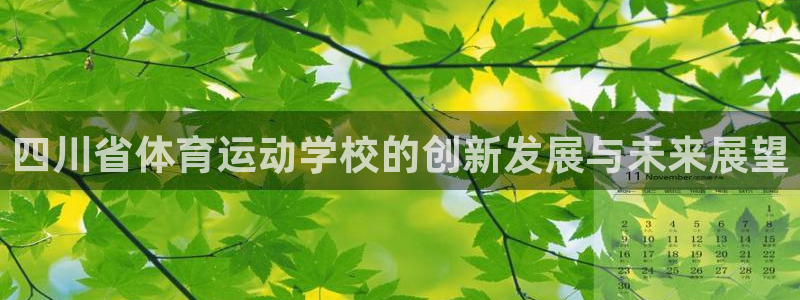 ug环球官网注册：四川省体育运动学校的创新发展与未来展望