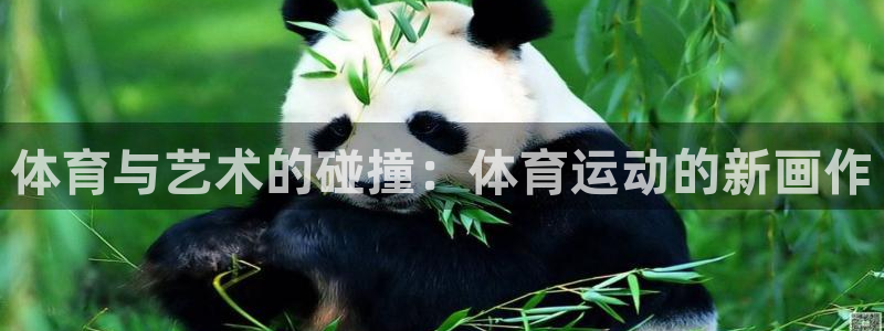 ug环球官网登录入口：体育与艺术的碰撞：体育运动的新画作